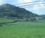img_1236